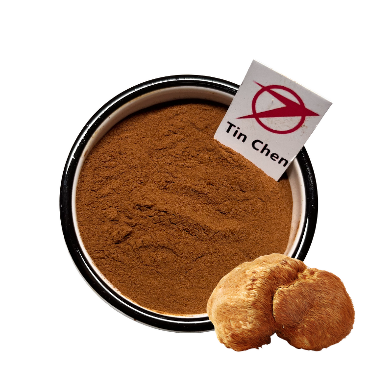 Lion's Mane Extract - Manufacturer - 10:1-100:1 Hericium Erinaceus Polysaccharide