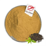 Catechin Powder - Manufacturer - Natural Green Tea Extract Antioxidant Best Price