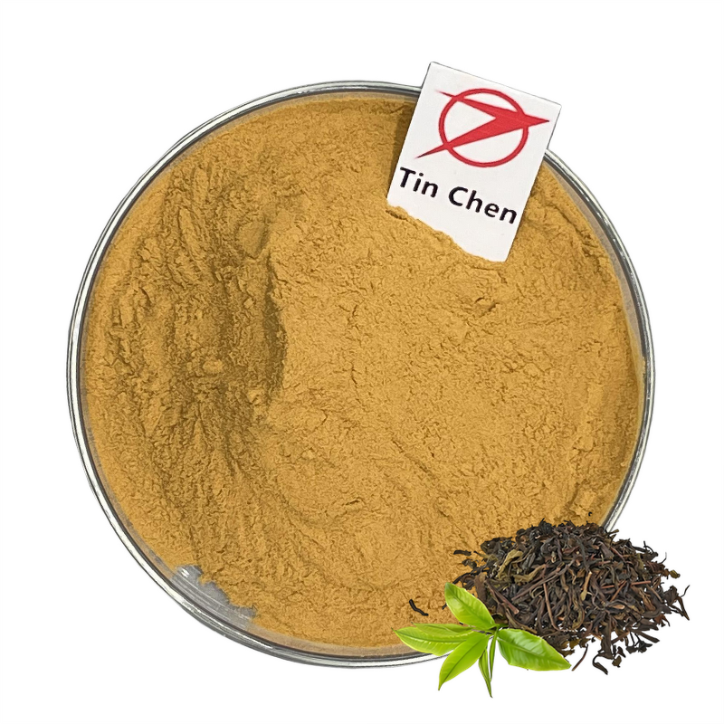 Catechin Powder - Manufacturer - Natural Green Tea Extract Antioxidant Best Price