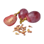 Grape Seed Extract - Manufacturer - 95% Proanthocyanidins Food Grade Powder