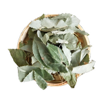 Epimedium Extract - Manufacturer - 10%-98% Icariin CAS 489-32-7 Herbal Extract