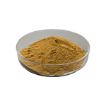 Red Spinach Extract - Manufacturer - 10:1-100:1 Multiple Specifications Powder