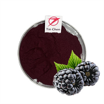 Mulberry Extract - Manufacturer - 25% Anthocyanins Fruit Extract Powder Bulk