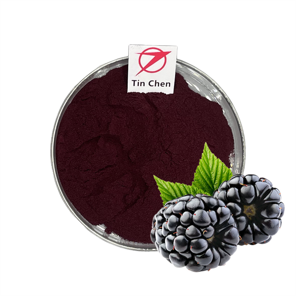 Mulberry Extract - Manufacturer - 25% Anthocyanins Fruit Extract Powder Bulk