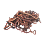 Earthworm Protein - Manufacturer - 98% Earthworm Extract Peptide Powder Bulk