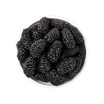 Mulberry Extract - Manufacturer - 25% Anthocyanins Fruit Extract Powder Bulk