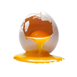 Eggshell Membrane - Manufacturer - 100% Pure Protein Powder Bulk Supply