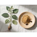 Ashwagandha Capsules - Manufacturer - OEM Private Label KSM-66 Maca Extract