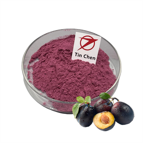 Prunes Extract - Manufacturer - Water Soluble Instant Dark Sour Plum Powder