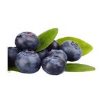 Bilberry Extract - Manufacturer - 25% Anthocyanin Fruit Powder In Stock