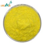 Bee Pollen Powder - Manufacturer - High Quality Natural Food Grade Honey