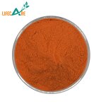 Carrot Powder - Manufacturer - High Quality Pure Natural Food Grade Juice