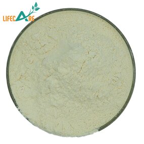 Pumpkin Seed Powder - Manufacturer - Natural Extract Protein Powder Food Grade
