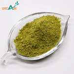 Celery Powder - Manufacturer - Natural Vegetable Extract Food Grade Juice
