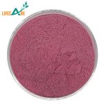 Maqui Berry - Manufacturer - Wholesale Pure Natural Water Soluble Powder