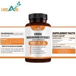 Chaga Capsules - Manufacturer - OEM Mushroom Extract Vitamin Supplement Private Label