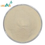 Pea Powder - Manufacturer - Wholesale Food Grade Natural Pea Protein Powder
