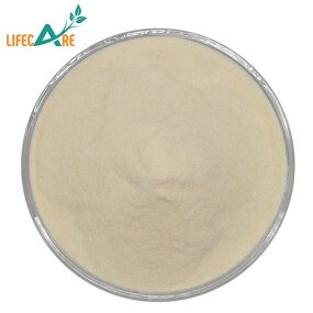 Pea Powder - Manufacturer - Wholesale Food Grade Natural Pea Protein Powder