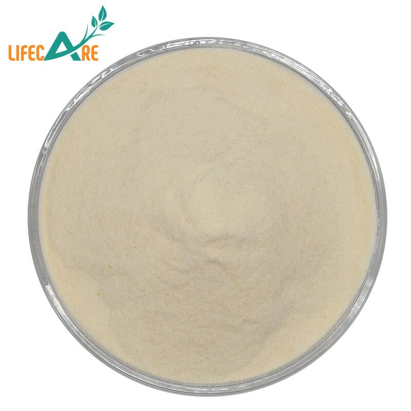 Pea Powder - Manufacturer - Wholesale Food Grade Natural Pea Protein Powder