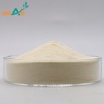 Royal Jelly Powder - Manufacturer - 6% 10-HDA Lyophilized Food Grade Pure