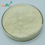 Avocado Powder - Manufacturer - Best Selling Pure Natural Water Soluble
