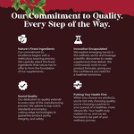 Energy Support Capsules - Manufacturer - Heart Metabolism Men Women Adult Only