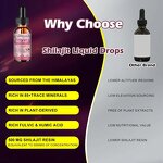 Shilajit Liquid Drops - Manufacturer - Organic Herbal Energy Brain Booster