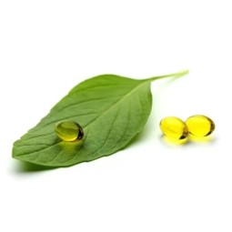 牛至油香芹酚胶囊生产商-散装膳食补充