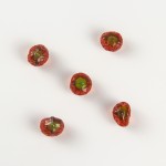 4D水果蔬菜维生素果胶软糖工厂-犹太清真