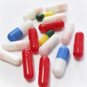 Garcinia Cambogia 500mg Capsule Factory - 60% HCA