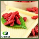 优质枸杞干果供应商-整果出口