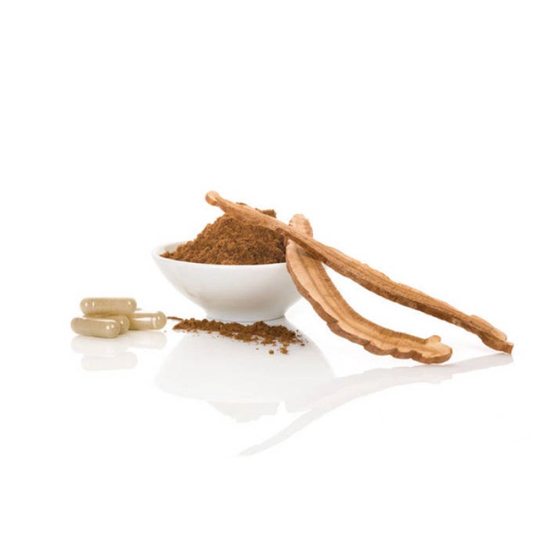 Organic Reishi Mushroom Powder Supplier - Lingzhi Extract