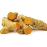 姜黄提取物粉末生产商-草本补充剂代工