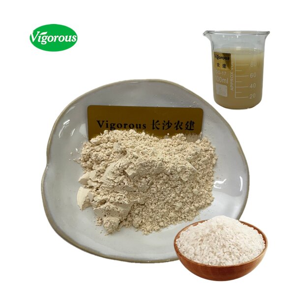 Rice Protein Powder - Manufacturer - 80% Hydrolyzed Oryza Sativa Pure Healthy Natural