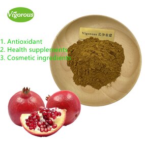 Pomegranate Peel Extract - Manufacturer - Best Selling Free Sample China Supplier