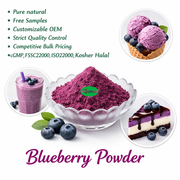 Blueberry Powder - Manufacturer - FSSC22000 Pure Natural No Additives 20+ Years