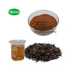 Black Tea Extract Powder - Manufacturer - Camellia Sinensis Instant Flavored Free Sample