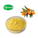 Sea Buckthorn Powder - Manufacturer - Organic Hippophae Rhamnoides for Food Drinks