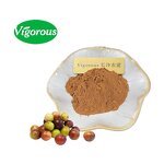 Camu Camu Extract - Manufacturer - Myrciaria Dubia Hot Selling Free Sample Pure