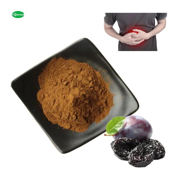 Plum Extract Powder - Manufacturer - High Quality In Stock Hot Sale Free Sample