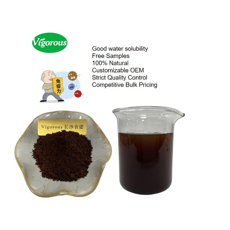 Reishi Spore Powder - Manufacturer - 98% Ganoderma Lucidum Shell Broken Pure