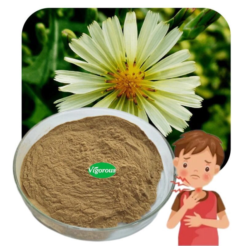 Lactuca Indica Extract - Manufacturer - 10:1 Pure Natural Free Sample Factory Supply
