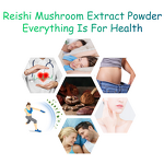 Reishi Spore Powder - Manufacturer - 98% Ganoderma Lucidum Shell Broken Pure