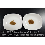 Fomitopsis Officinalis Extract - Manufacturer - 30% Polysaccharides Agarikon Mushroom