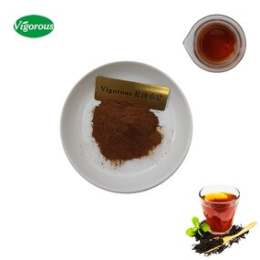 Instant Black Tea Powder - Manufacturer - Camellia Sinensis Extract for Drink Pure