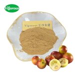 Camu Camu Extract - Manufacturer - Myrciaria Dubia Hot Selling Free Sample Pure