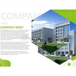 Giant Knotweed Extract - Manufacturer - FSSC22000 10% Trans Resveratrol Cosmetic