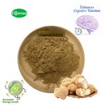 Lion's Mane Extract - Manufacturer - 30% Polysaccharides Hericium Erinaceus Free Sample