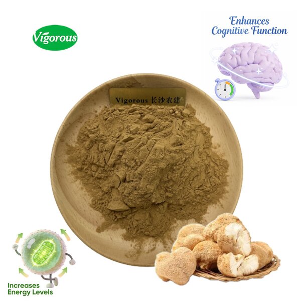 Lion's Mane Extract - Manufacturer - 30% Polysaccharides Hericium Erinaceus Free Sample