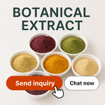 Mango Powder - Manufacturer - 100% Pure Freeze Dried Extract Free Sample Wholesale